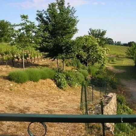 House Le Colombier 5